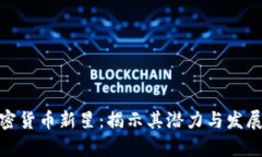 Pi加密货币新星：揭示其潜力与发展前景