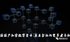 中国国产加密数字货币：未来金融的变革者与机