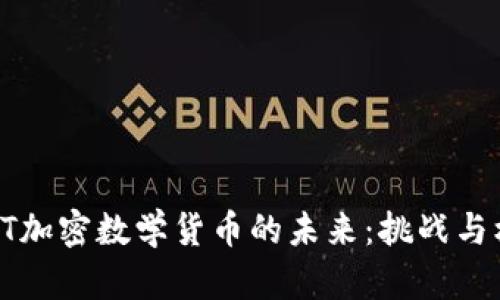AICT加密数学货币的未来：挑战与机遇
