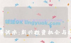 加密货币试水：新兴投资机会与挑战分析