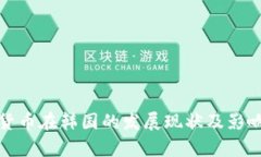 加密货币在韩国的发展现状及影响分析