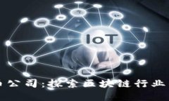 深圳加密货币公司：探索区块链行业的机遇与挑