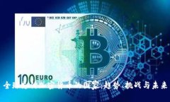 全球支付加密货币的国家：趋势、挑战与未来