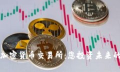 构建毛里求斯加密货币交易所：您投资未来的理