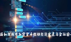 俄国如何利用加密货币推动经济发展与金融安全