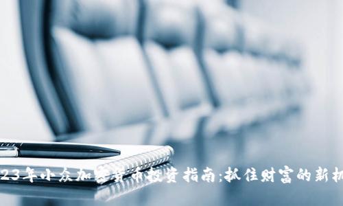 2023年小众加密货币投资指南：抓住财富的新机会