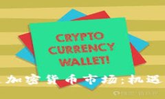 阿根廷加密货币市场：机遇与挑战