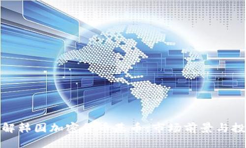 深入了解韩国加密货币基币：市场前景与投资机会