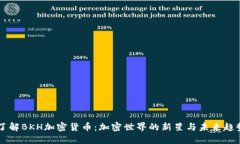 了解BKH加密货币：加密世界的新星与未来趋势