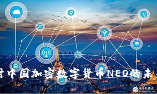 深入探讨中国加密数字货币NEO的未来与发展