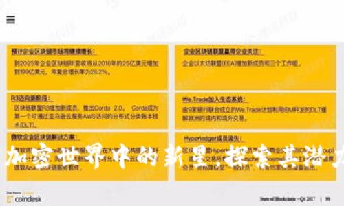 猎鹰币：加密世界中的新星，探索其潜力与风险