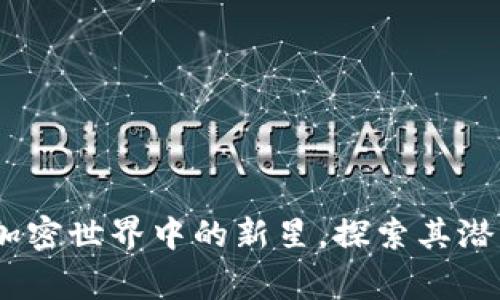 猎鹰币：加密世界中的新星，探索其潜力与风险