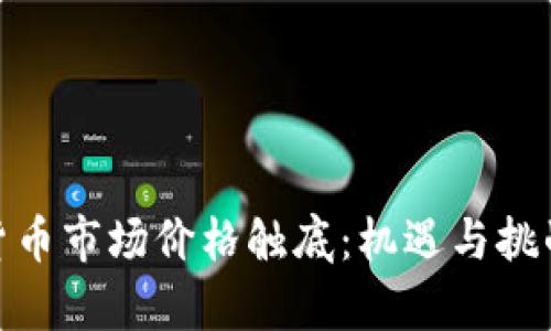 加密货币市场价格触底：机遇与挑战并存