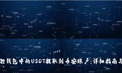 如何将狐狸钱包中的USDT提取到币安账户：详细指南与实用技巧