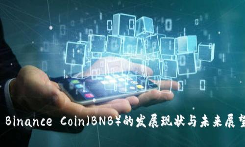  Binance Coin（BNB）的发展现状与未来展望