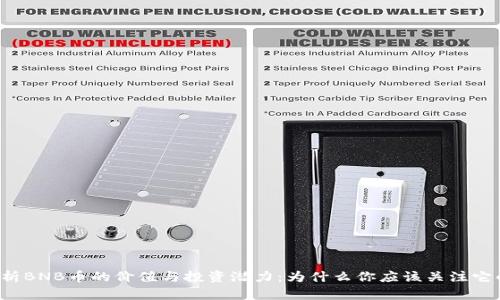 深入解析BNB币的价值与投资潜力：为什么你应该关注它的未来？