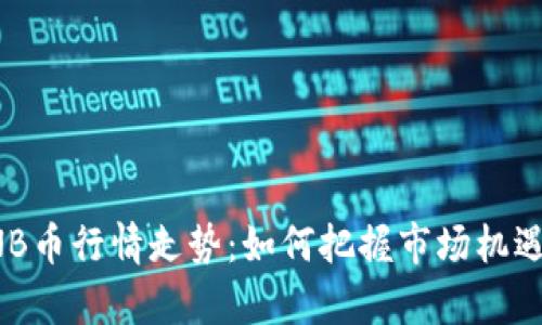 深度解析BNB币行情走势：如何把握市场机遇与投资价值