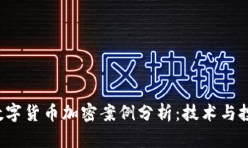 2023年最新数字货币加密案例分析：技术与投资的双重视角