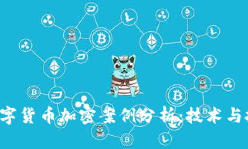 2023年最新数字货币加密案例分析：技术与投资的双重视角