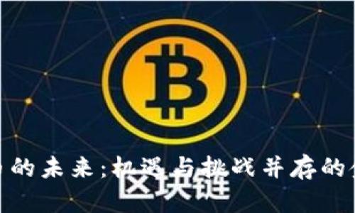 加密货币的未来：机遇与挑战并存的金融革命