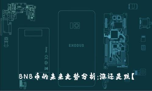 BNB币的未来走势分析：涨还是跌？