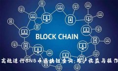 如何高效进行BNB币区块链查询：用户收益与操作