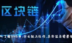 深入了解BNB币：什么链上运行，其价值与前景分