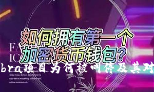 Facebook加密货币Libra项目为何被叫停及其对数字货币市场的影响