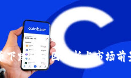 BNB币下跌的原因分析与市场前景展望