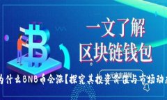 为什么BNB币会涨？探究其投资价值与市场动态