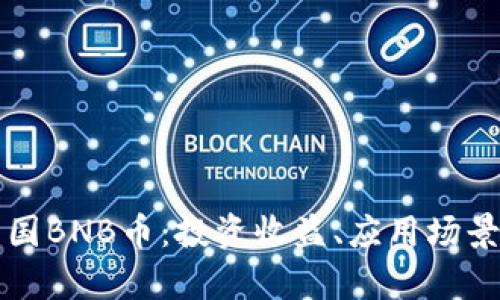 深度解析法国BNB币：投资收益、应用场景与市场前景