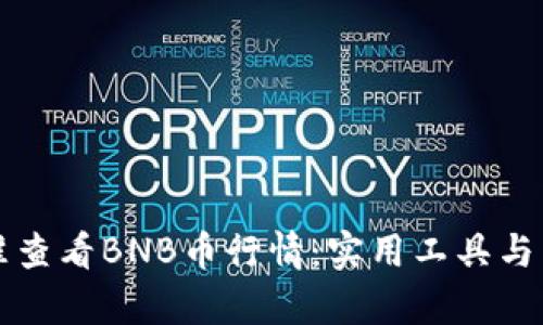 如何精准查看BNB币行情：实用工具与策略解析
