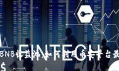 探索币安BNB收益池：如何利用币安平台最大化收