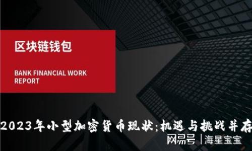 2023年小型加密货币现状：机遇与挑战并存