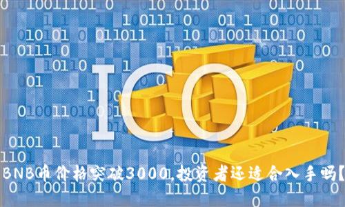 BNB币价格突破3000，投资者还适合入手吗？
