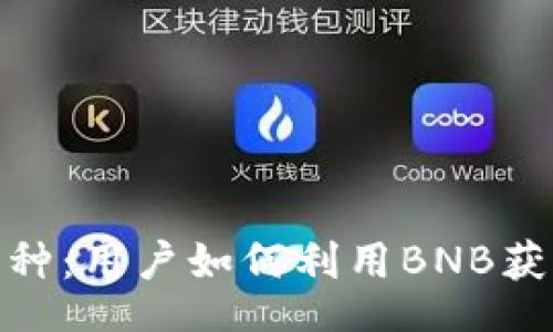 div

  深入理解BNB币种：用户如何利用BNB获取更多价值与收益