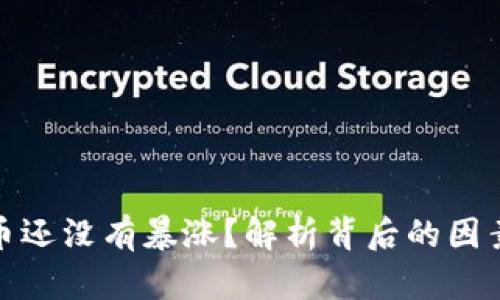 为什么BNB币还没有暴涨？解析背后的因素与市场动态