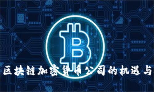 探索区块链加密货币公司的机遇与挑战