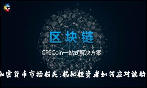 2023年全球加密货币市场损失：揭秘投资者如何应对波动性风险与机会