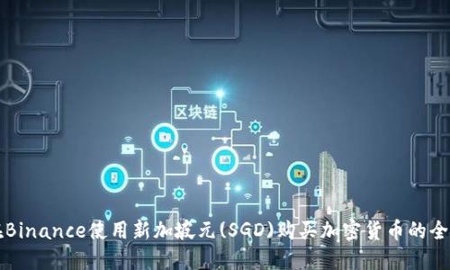 如何在Binance使用新加坡元(SGD)购买加密货币的全面指南