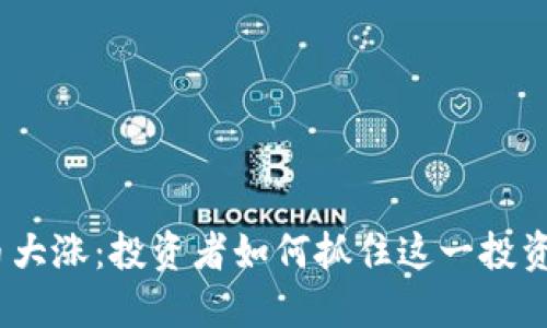 BNB币大涨：投资者如何抓住这一投资机遇？