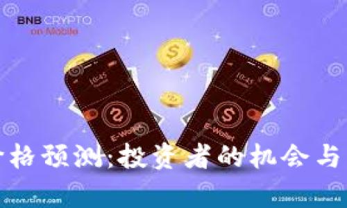 未来BNB币价格预测：投资者的机会与风险深入分析