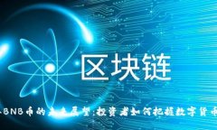 2021年BNB币的未来展望：投资者如何把握数字货币