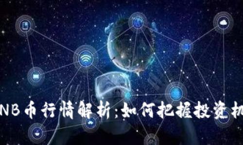 2023年BNB币行情解析：如何把握投资机会与风险