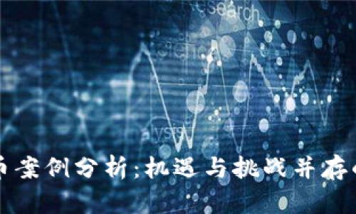 新加坡加密货币案例分析：机遇与挑战并存的数字货币生态