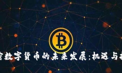 加密数字货币的未来发展：机遇与挑战