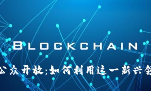 加密货币的公众开放：如何利用这一新兴领域创造财富