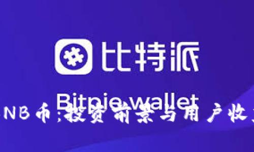 印度金BNB币：投资前景与用户收益全解析