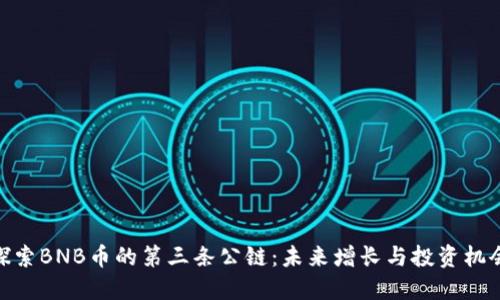 探索BNB币的第三条公链：未来增长与投资机会