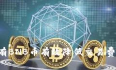 如何通过持有BNB币有效降低交易费用：全面解析